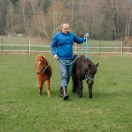 Agroturystyka U Gazdy, Wisla - Domowe Sniadania, Idealny Dla Rodzin Z Dziecmi, Domek & Apartamenty, Balia *