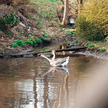 Agroturystyka U Gazdy, Wisla - Domowe Sniadania, Idealny Dla Rodzin Z Dziecmi, Domek & Apartamenty, Balia * Wisla