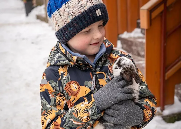 U Gazdy, - Ze Sniadaniem, 1 Km Od Stoku, Idealny Dla Rodzin Z Dziecmi, Z Balia & Visla